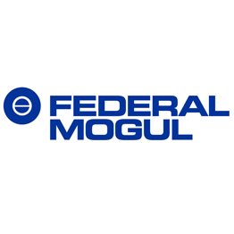 fedemogullogo